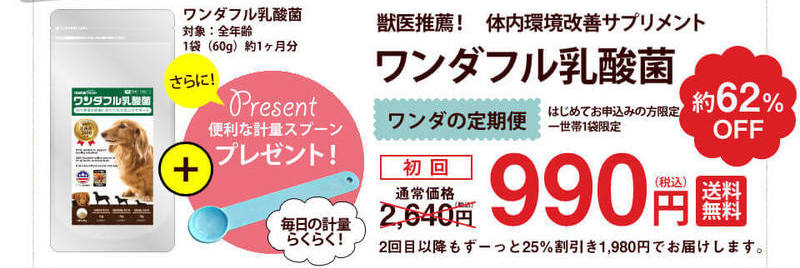 �����_�t�����_�ۏ��T�C�g